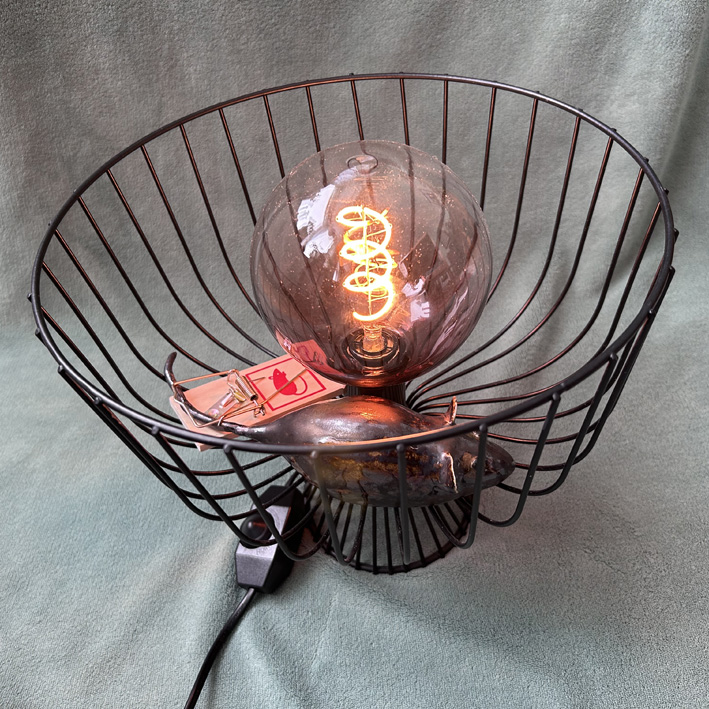 Lamp rat in kooi