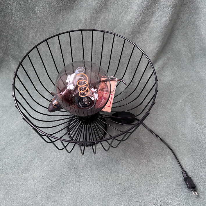 Lamp rat in kooi